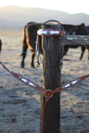 9 to 5 Headstall Set