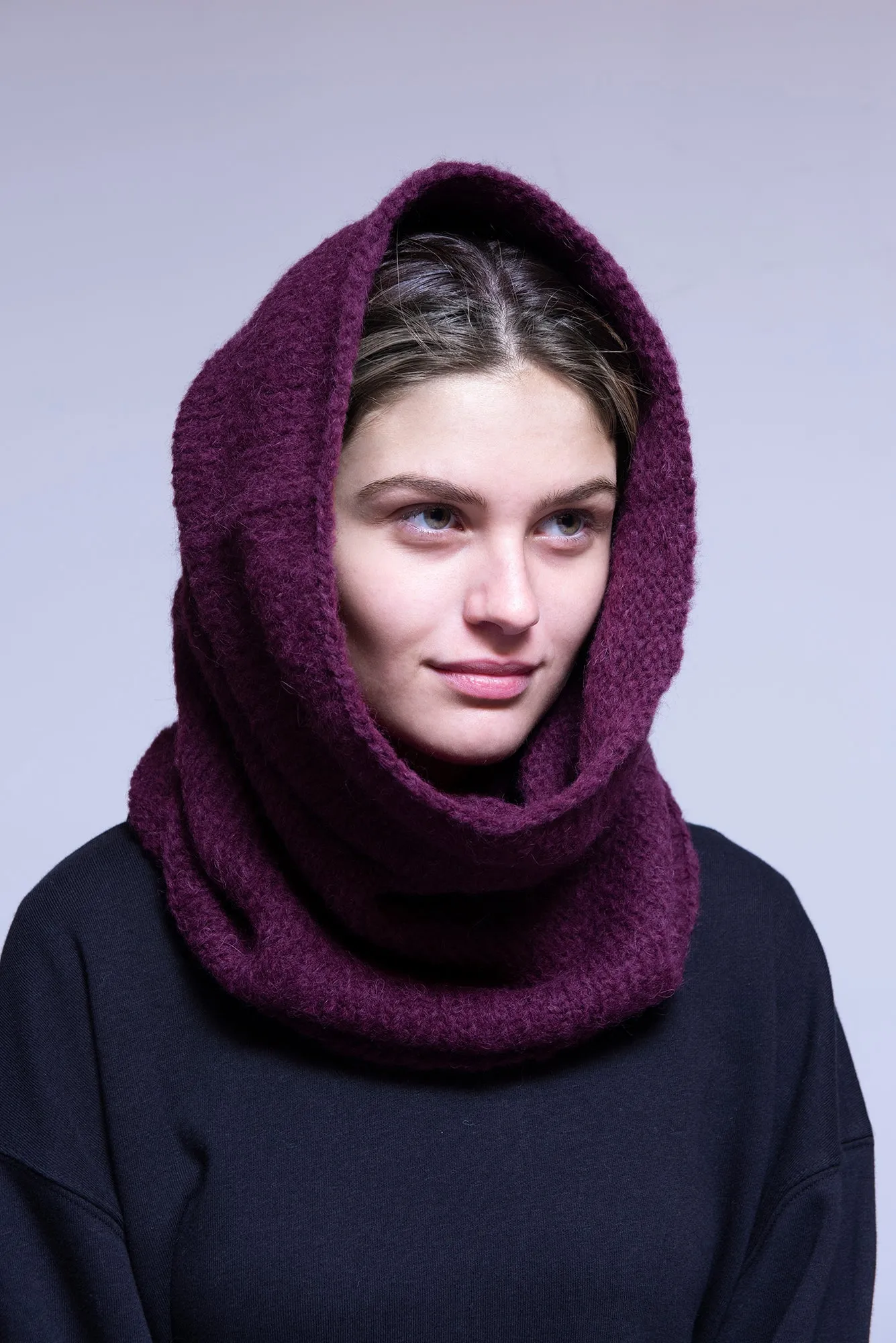 Alpaca Laja Hood