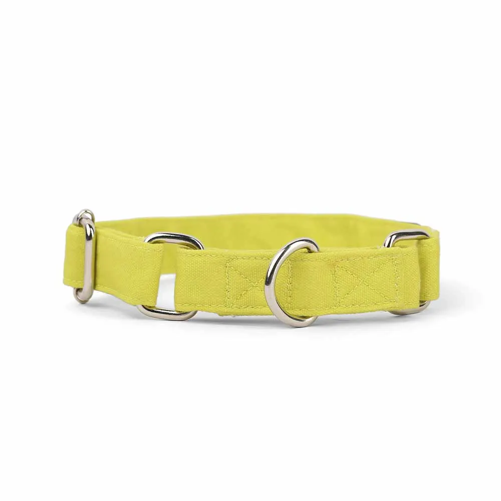 Dear Pet Classic Martingale Lime Dog Collar