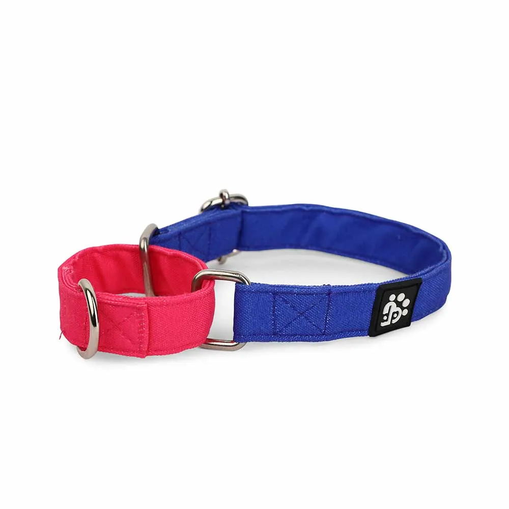 Dear Pet Double Trouble Martingale Blue & Pink Dog Collar