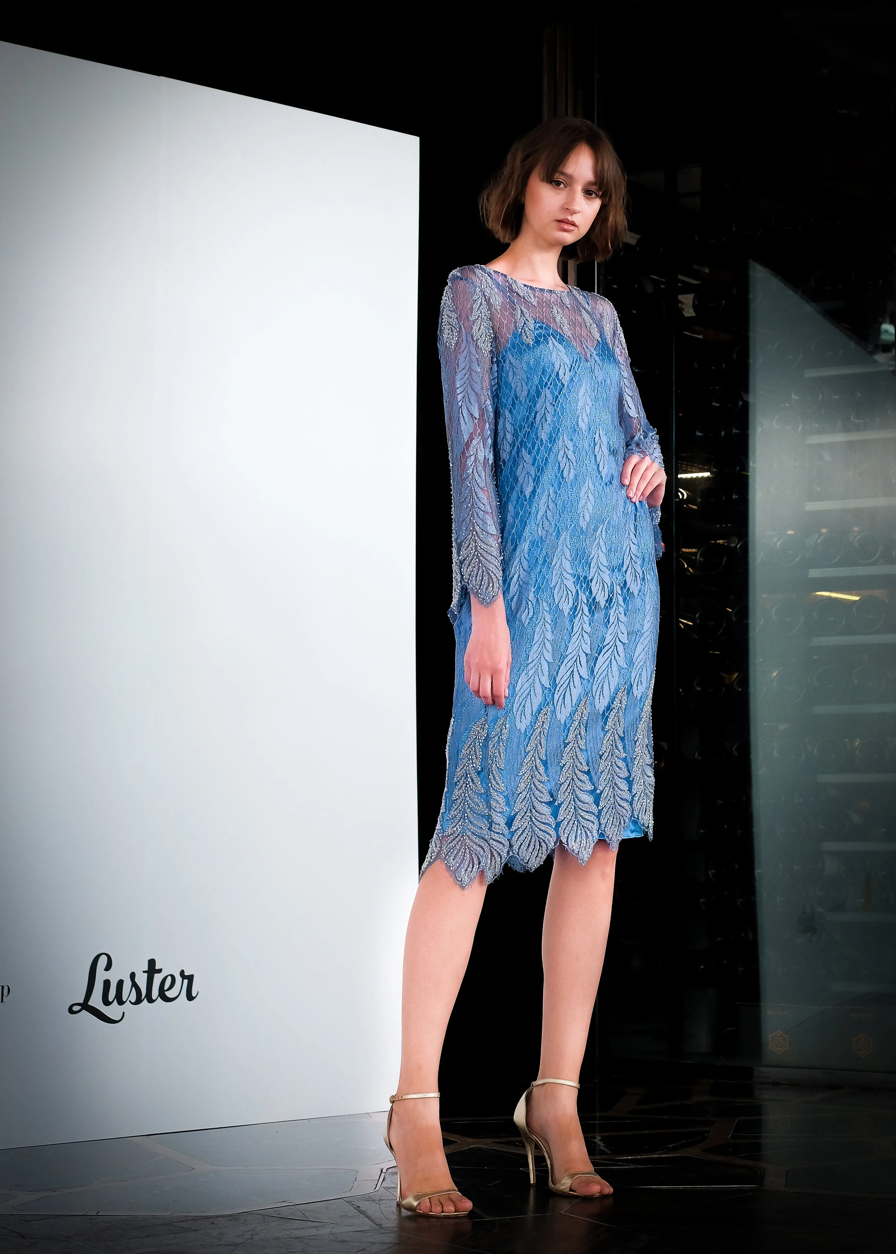 Dia Lace Embroidered Dress (Blue)