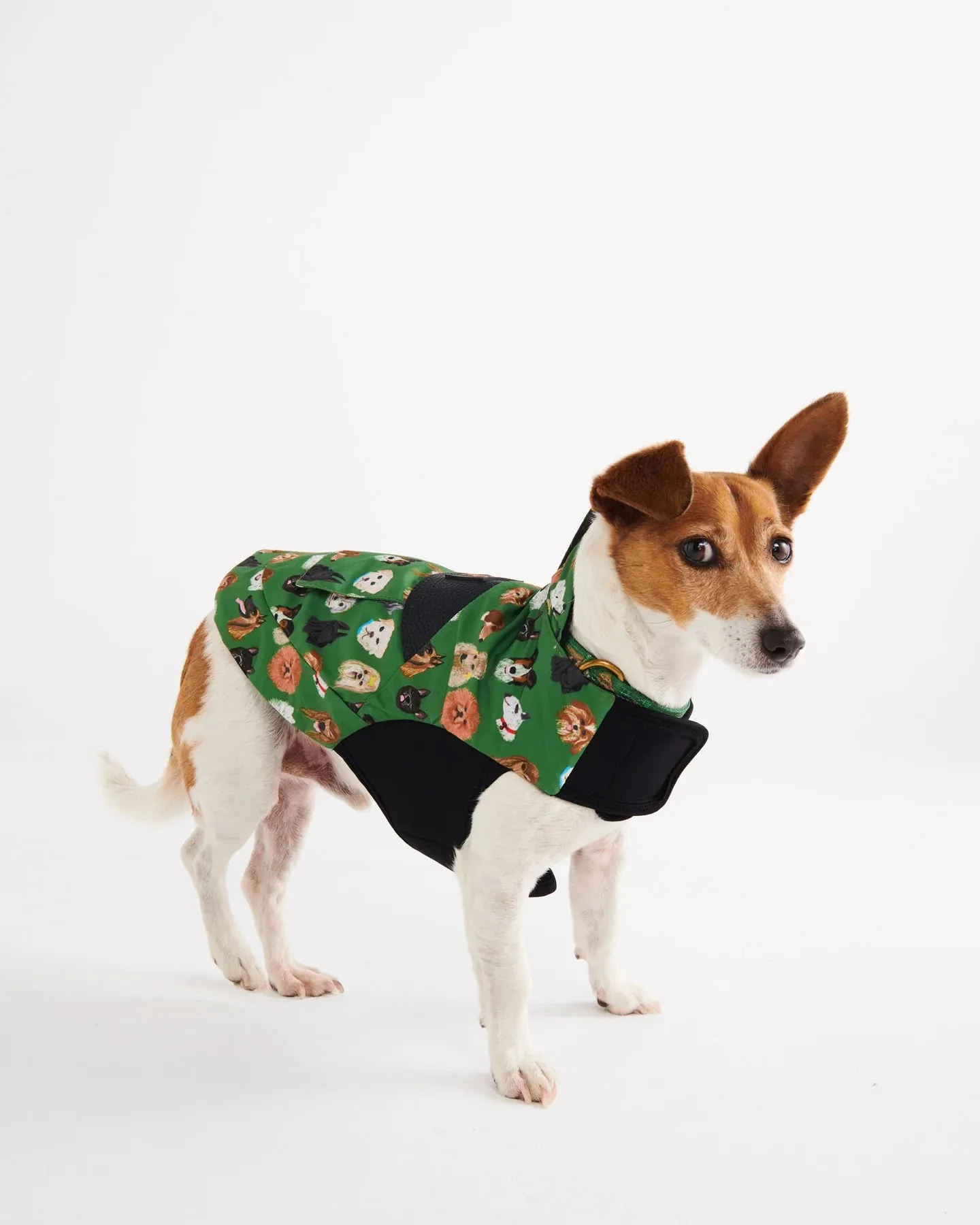 Kip & Co Dog Park Dog Jacket