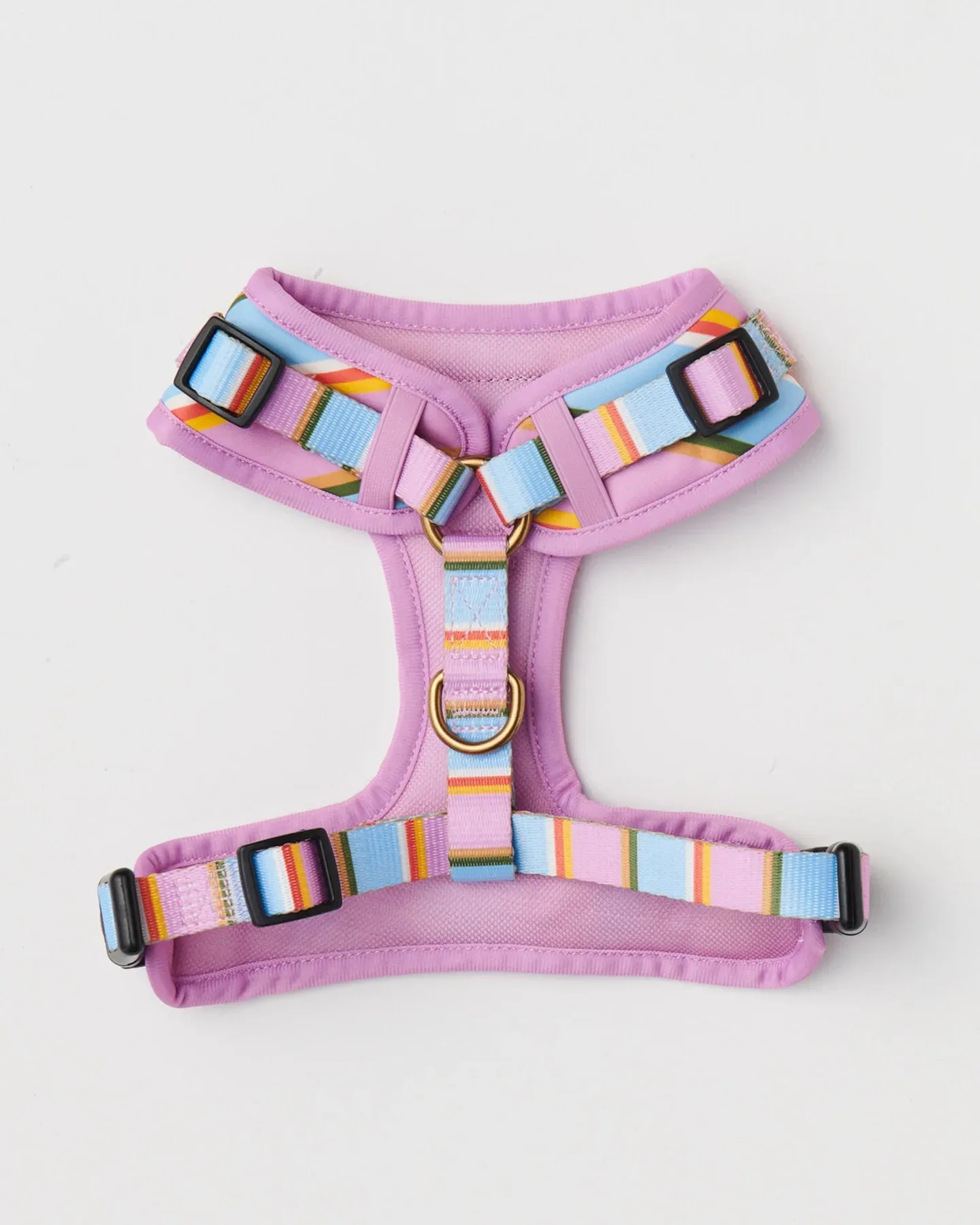 Kip & Co Fez Stripe Dog Harness