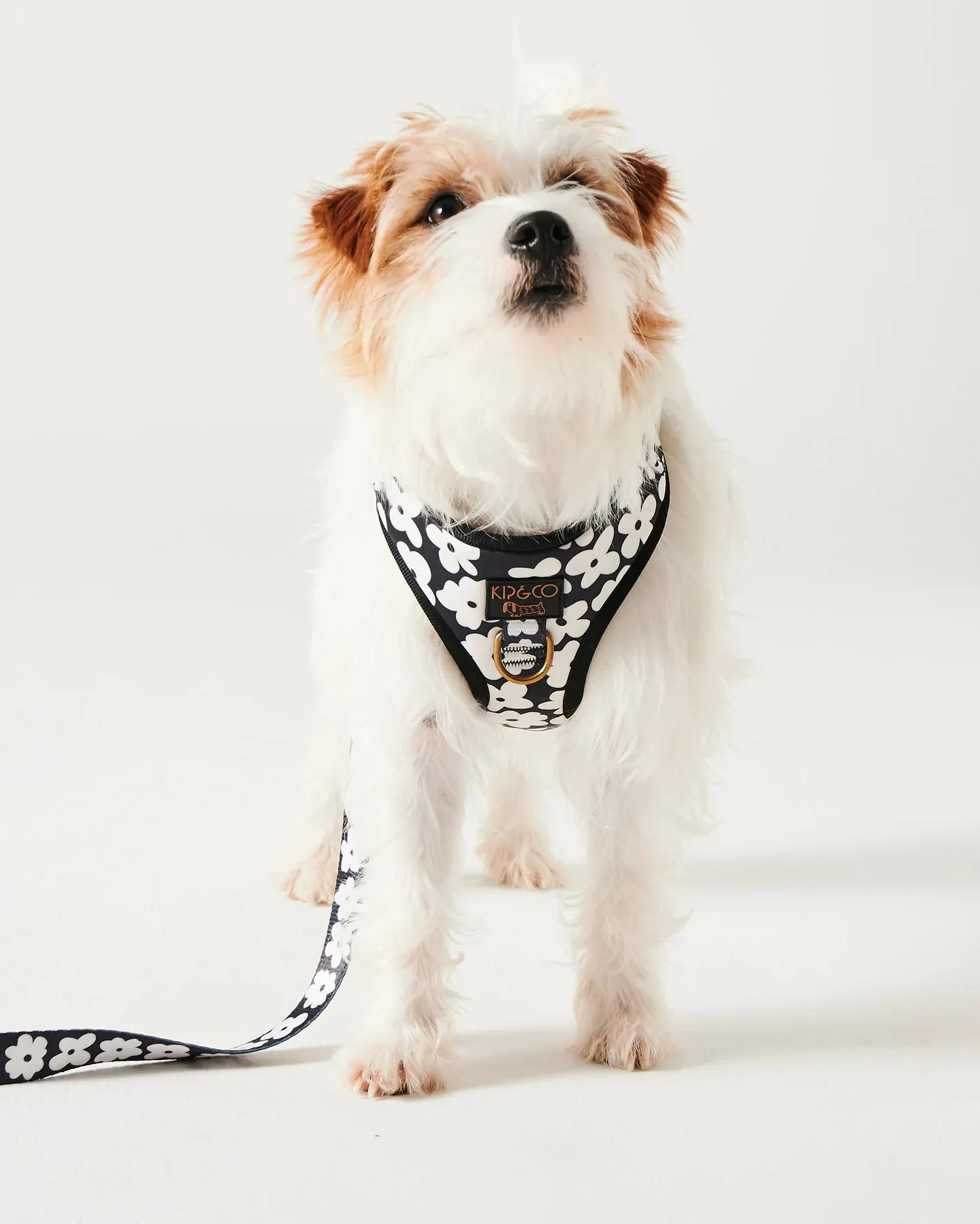 Kip & Co Flower Face Dog Harness