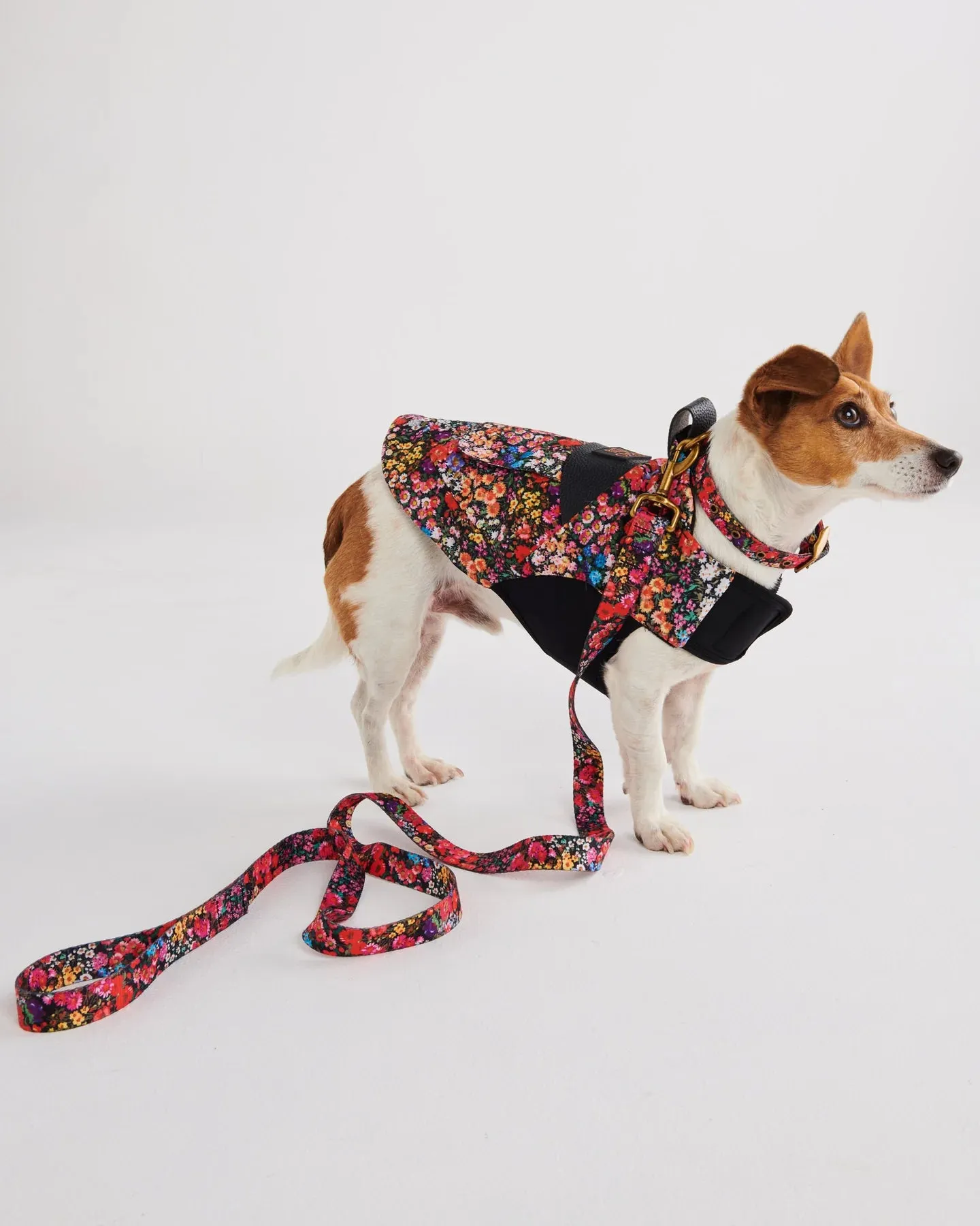 Kip & Co Forever Floral Black Dog Collar