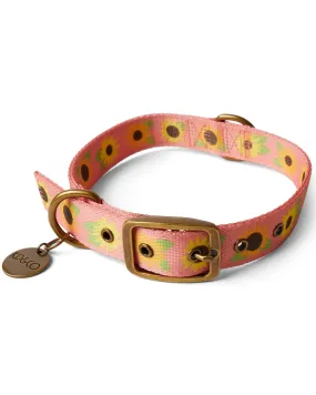 Kip & Co Sunflower Sunshine Dog Collar