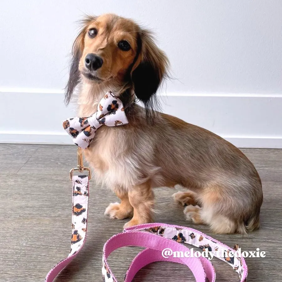 Pink Leopard Bowtie Unbreakable Collar™ & Leash Set