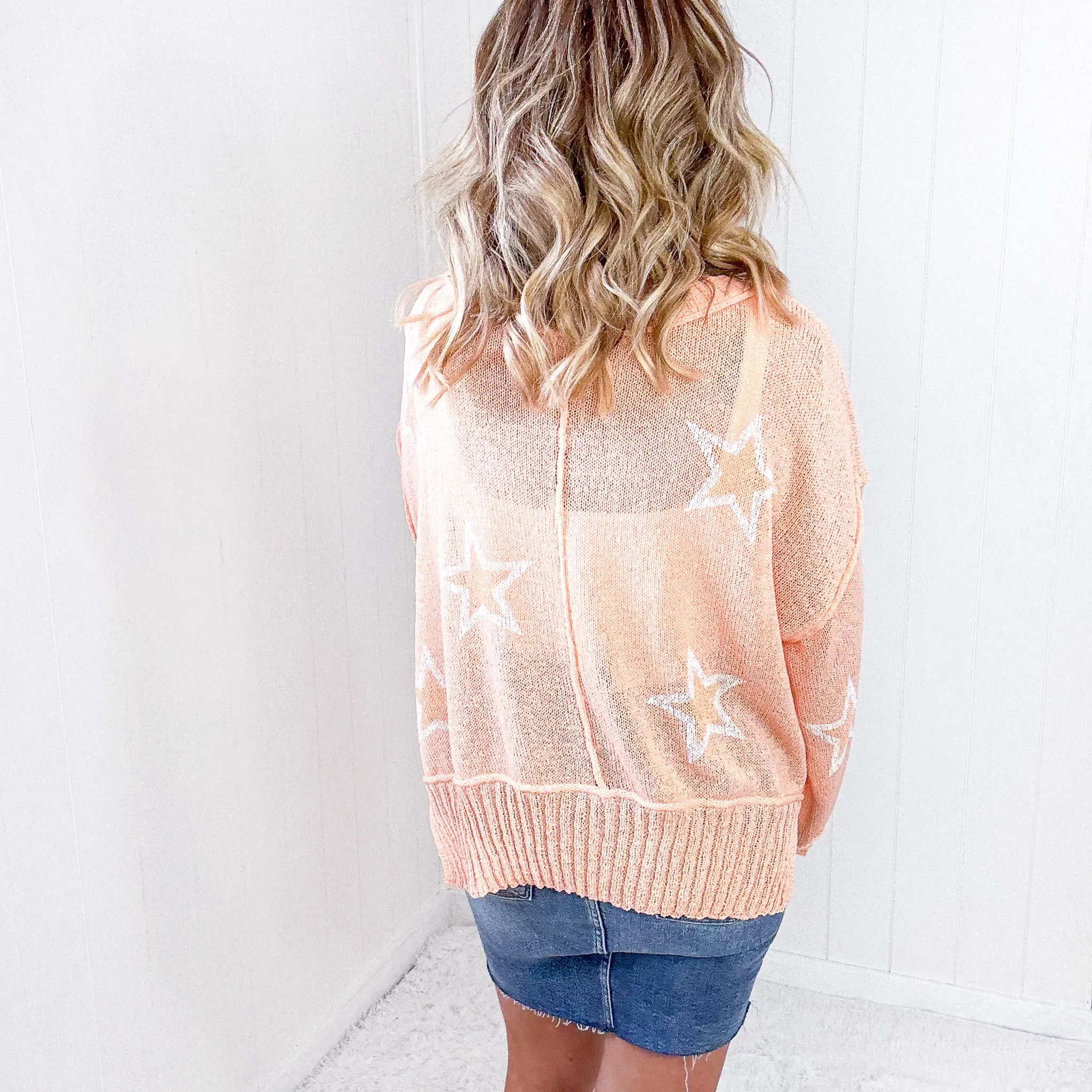 Pol Star Crazy Sherbet Sheer Spring Sweater