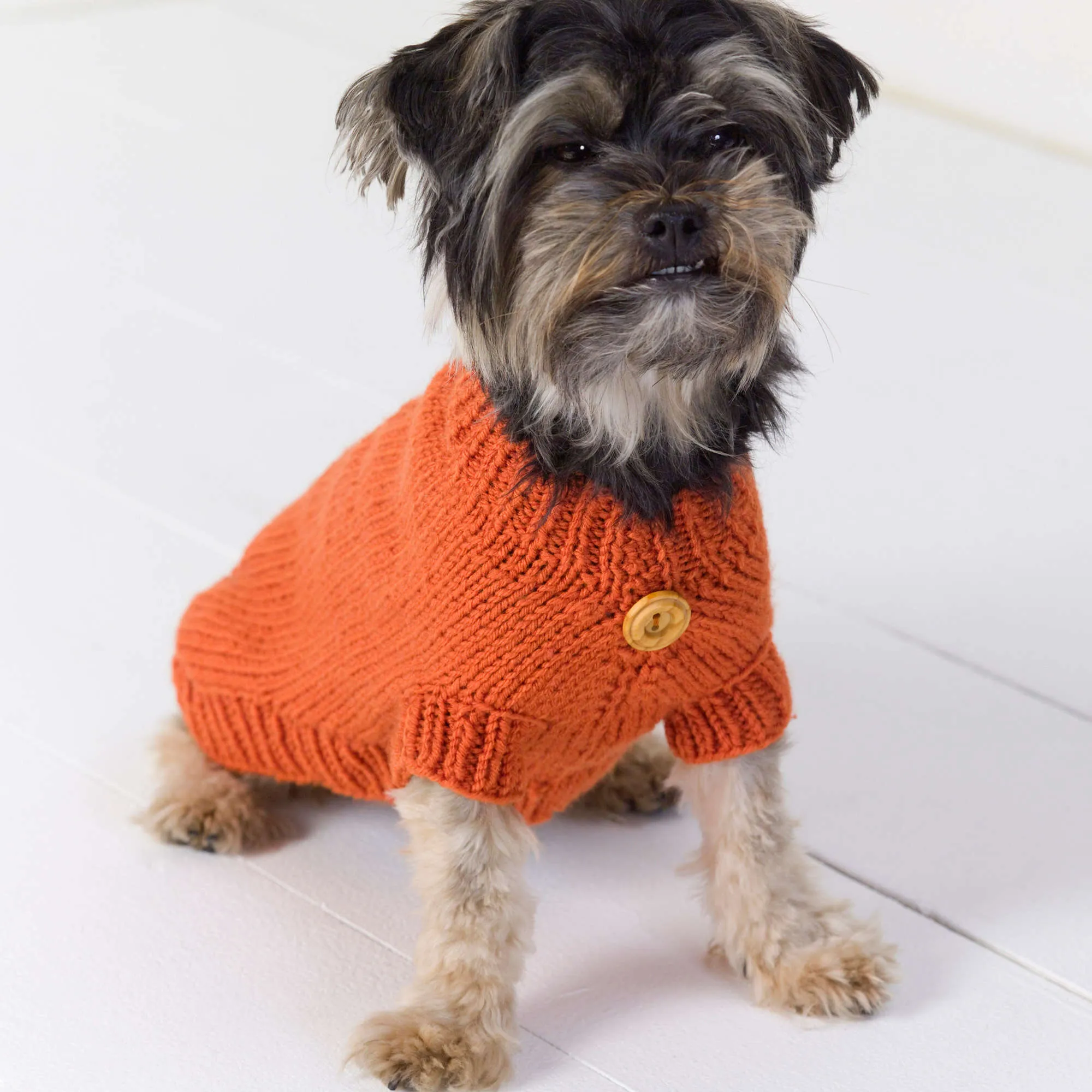 Red Heart Knit Dog Sweater