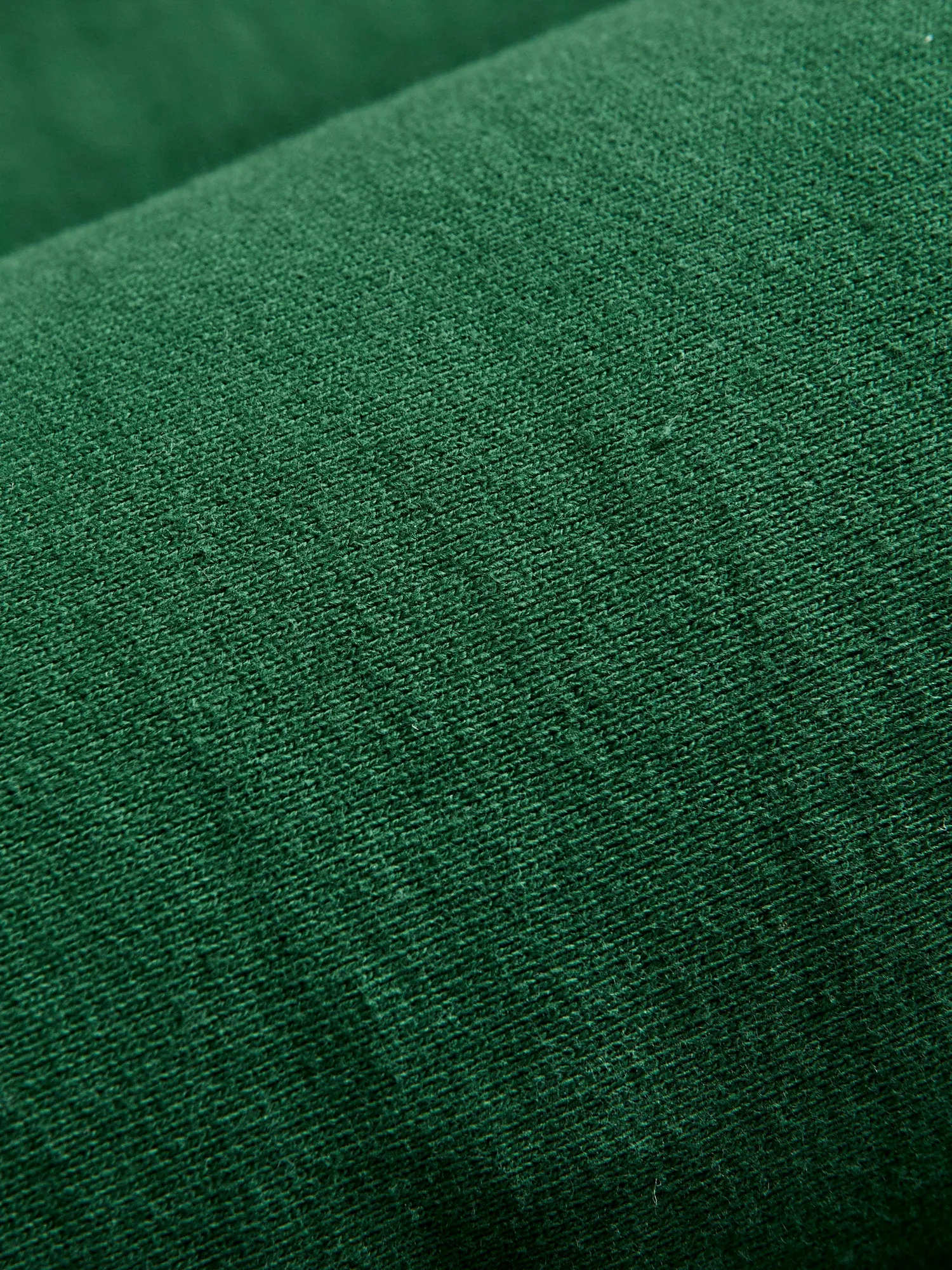 Reverse Weave Heavyweight Pullover Hoodie in Green