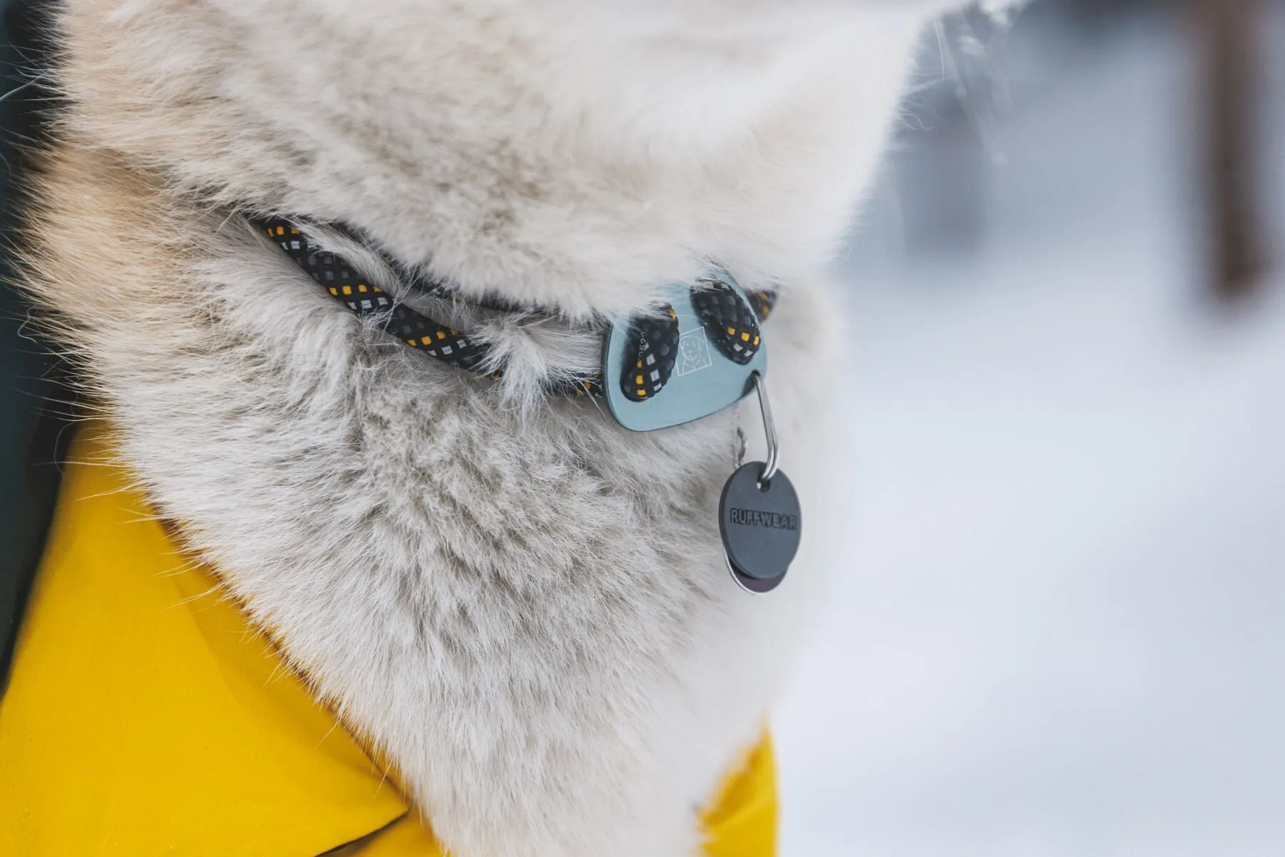 Ruffwear - Knot-a-Collar *Black Friday Offer*