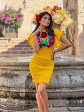 Tania Mexican Stretchable Dress