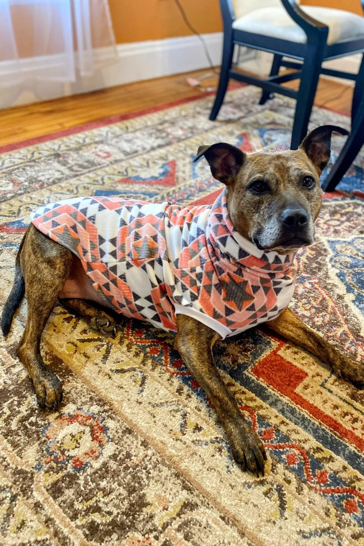 The Hexagon Aztec Dog Sweater