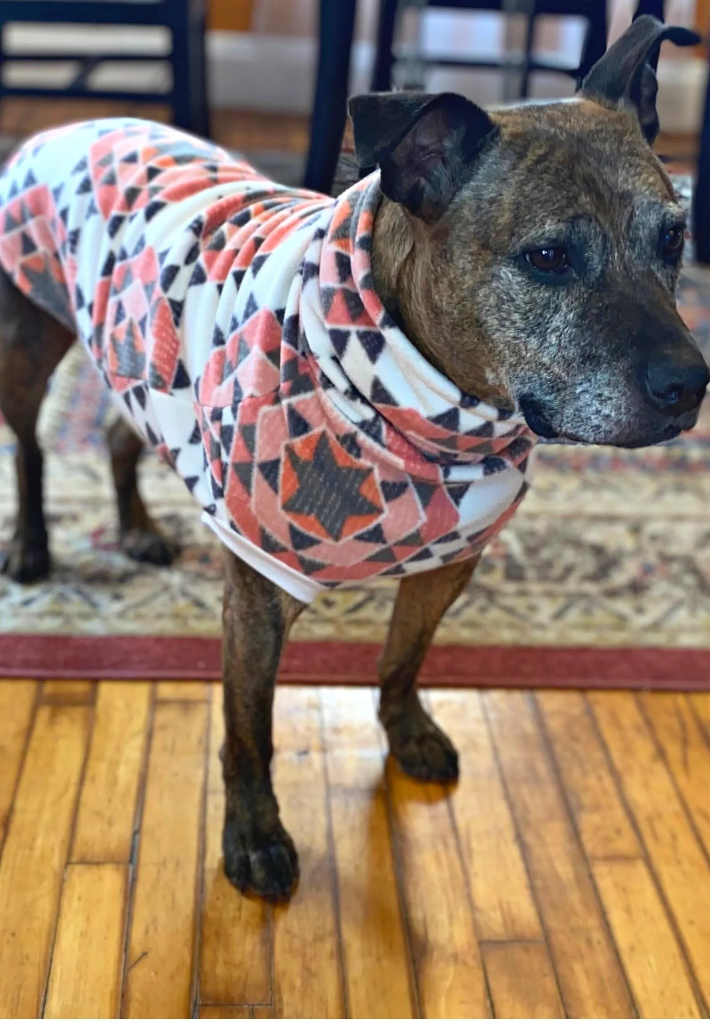 The Hexagon Aztec Dog Sweater